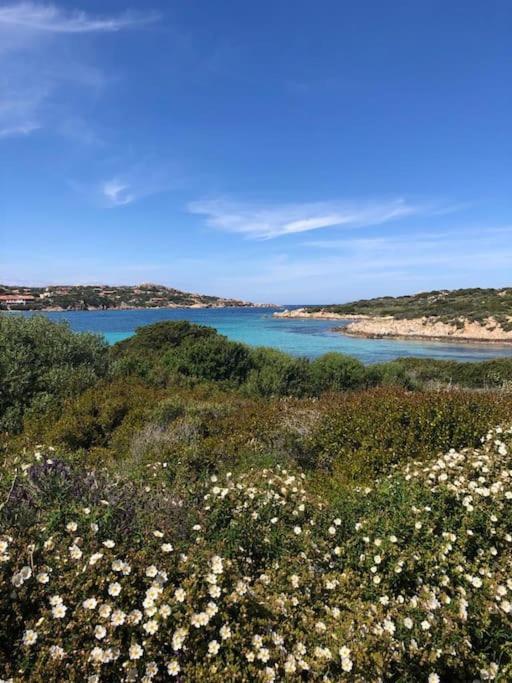 Casa Indipendente Zona Centrale La Maddalena  Eksteriør billede